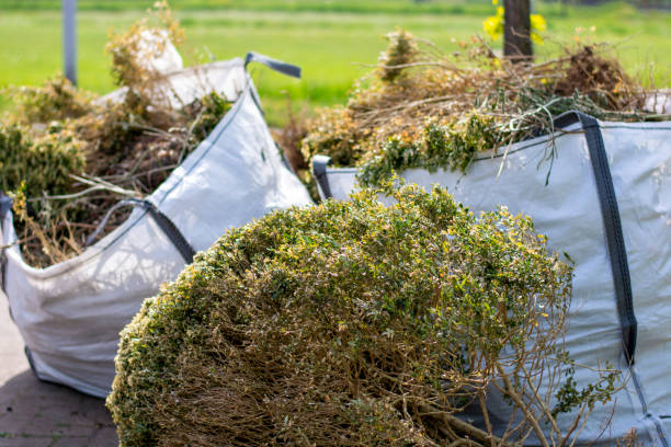 Best Appliance Removal Near Me  in Jonesborough, TN